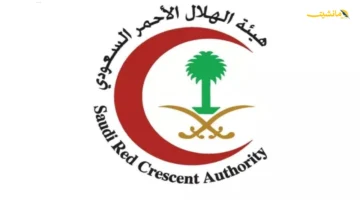 لحظات عصيبة.. معجزة طبية تُعيد الحياة لمعتمر توقف قلبه في المسجد النبوي أثناء صلاة الجمعة 1